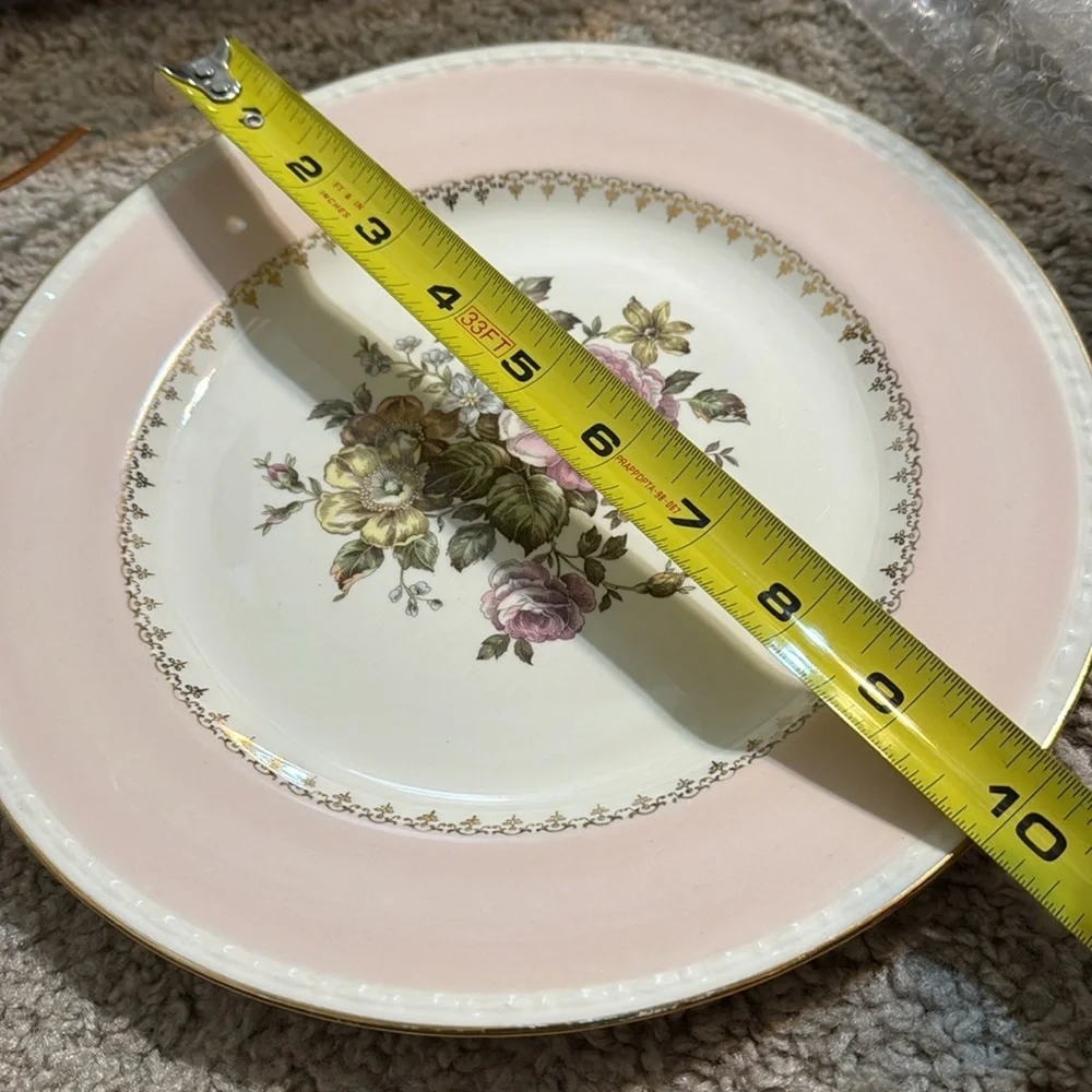 Homer Laughlin Eggshell Georgian Open Rose Pattern. Dinner Plate